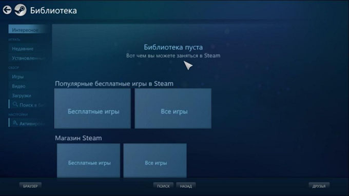 скриншот Steam на компьютере